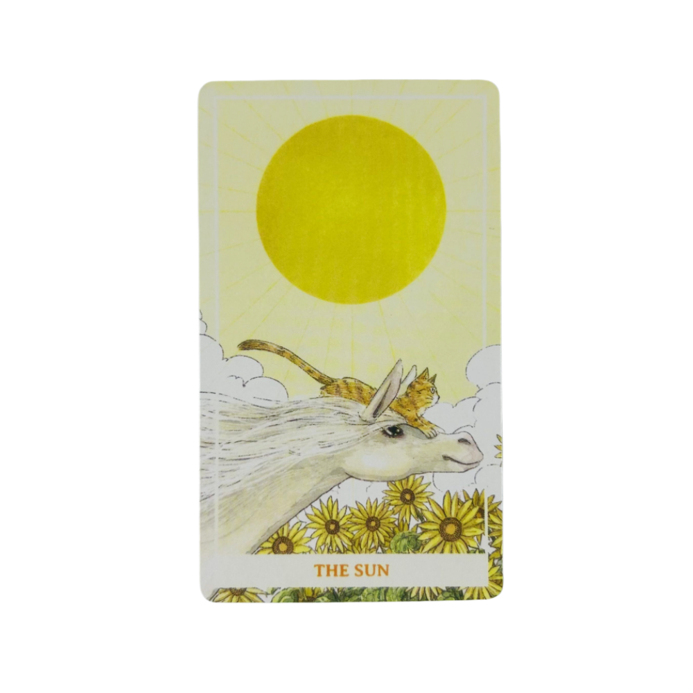 Jeu de tarot Sunny Orange Cat, - Party Games Sunny avis et prix
